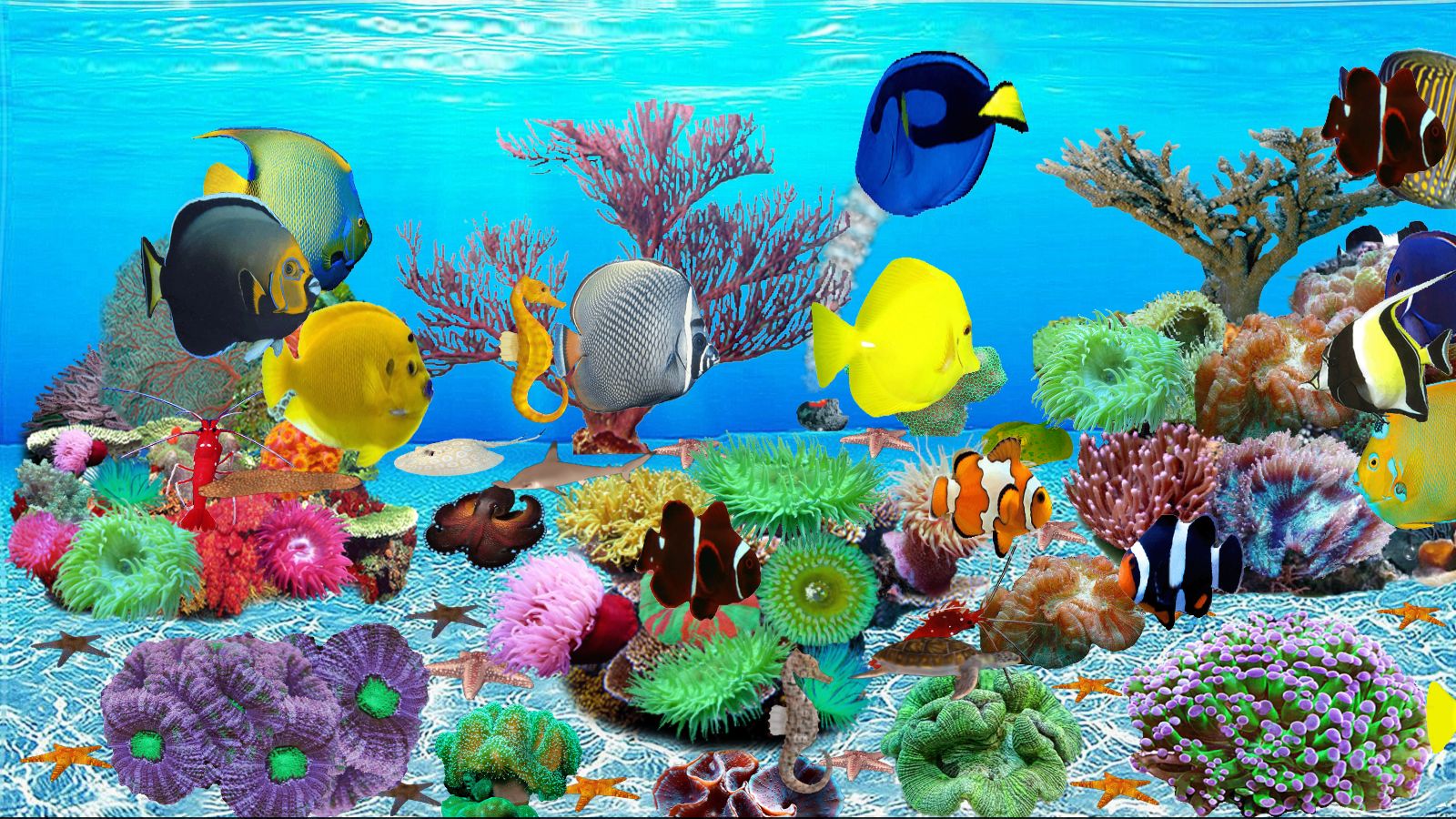 Aquarium Fish Screensaver